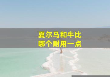 夏尔马和牛比哪个耐用一点