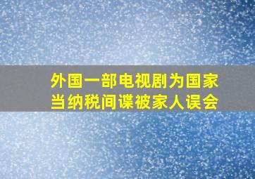 外国一部电视剧为国家当纳税间谍被家人误会