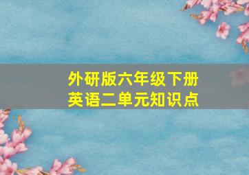 外研版六年级下册英语二单元知识点