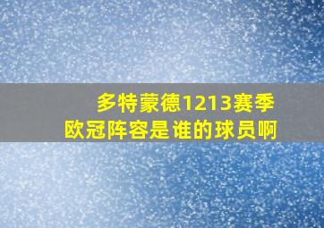 多特蒙德1213赛季欧冠阵容是谁的球员啊