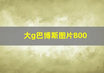 大g巴博斯图片800