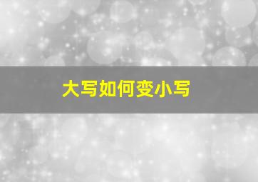 大写如何变小写