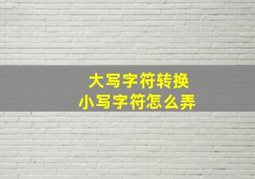 大写字符转换小写字符怎么弄