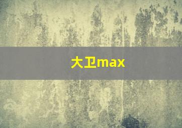 大卫max