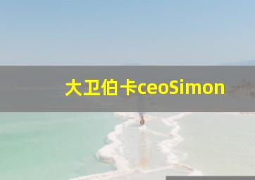 大卫伯卡ceoSimon