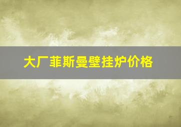 大厂菲斯曼壁挂炉价格