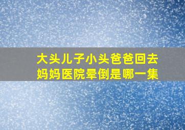 大头儿子小头爸爸回去妈妈医院晕倒是哪一集