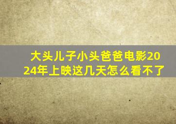 大头儿子小头爸爸电影2024年上映这几天怎么看不了