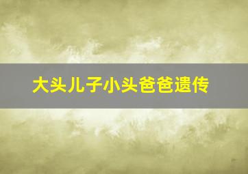 大头儿子小头爸爸遗传