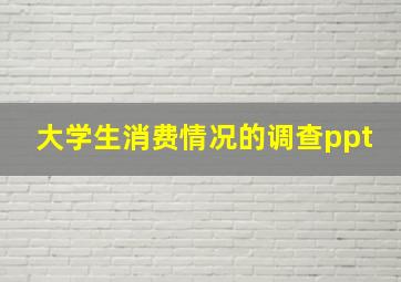 大学生消费情况的调查ppt