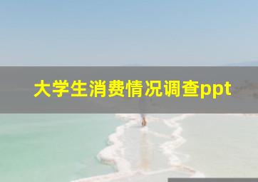 大学生消费情况调查ppt