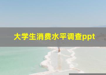 大学生消费水平调查ppt