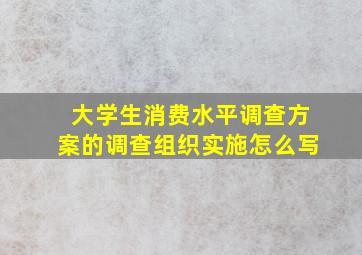 大学生消费水平调查方案的调查组织实施怎么写