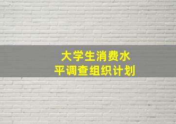 大学生消费水平调查组织计划