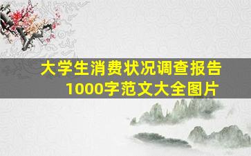 大学生消费状况调查报告1000字范文大全图片