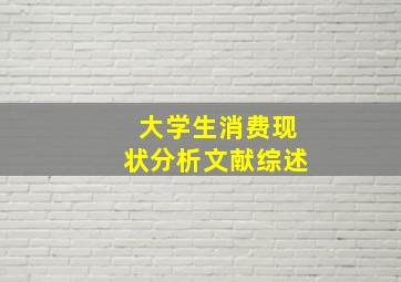 大学生消费现状分析文献综述