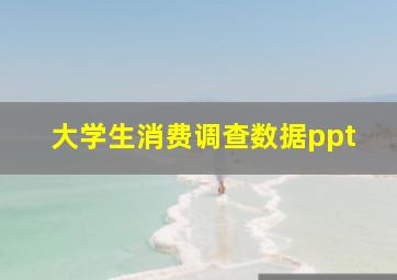 大学生消费调查数据ppt