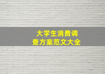 大学生消费调查方案范文大全