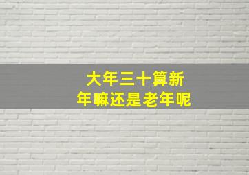 大年三十算新年嘛还是老年呢