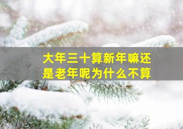 大年三十算新年嘛还是老年呢为什么不算