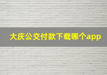 大庆公交付款下载哪个app