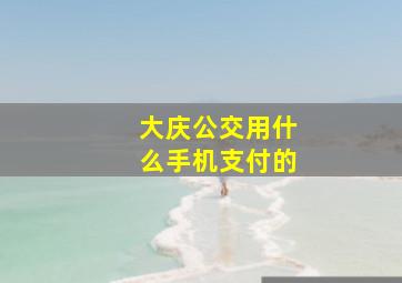 大庆公交用什么手机支付的