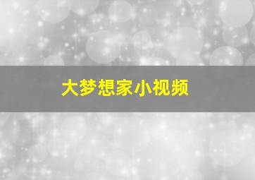 大梦想家小视频