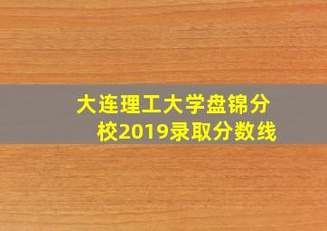 大连理工大学盘锦分校2019录取分数线