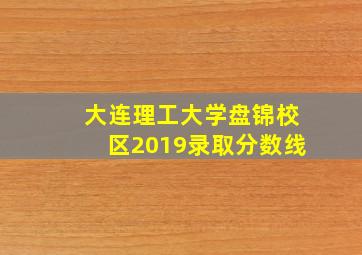 大连理工大学盘锦校区2019录取分数线