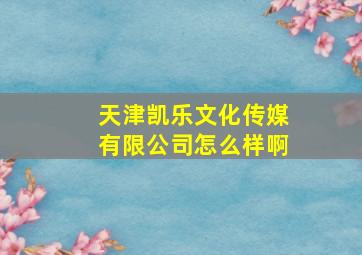 天津凯乐文化传媒有限公司怎么样啊