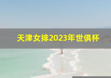 天津女排2023年世俱杯