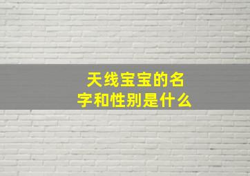 天线宝宝的名字和性别是什么