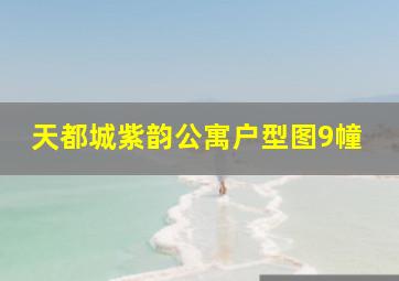 天都城紫韵公寓户型图9幢