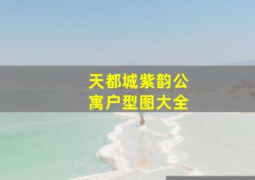 天都城紫韵公寓户型图大全