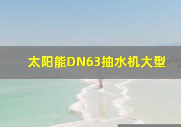 太阳能DN63抽水机大型