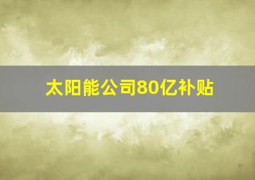 太阳能公司80亿补贴