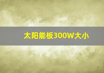 太阳能板300W大小