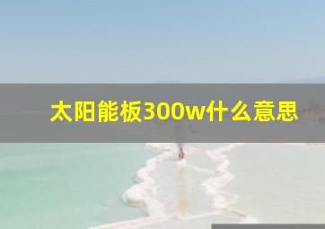 太阳能板300w什么意思