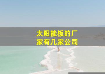 太阳能板的厂家有几家公司