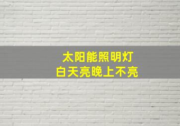 太阳能照明灯白天亮晚上不亮