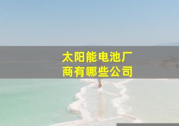 太阳能电池厂商有哪些公司