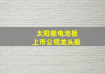 太阳能电池板上市公司龙头股