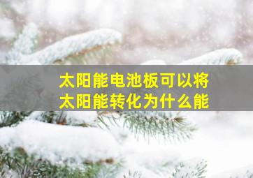 太阳能电池板可以将太阳能转化为什么能