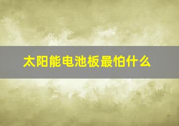 太阳能电池板最怕什么