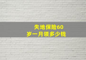 失地保险60岁一月领多少钱