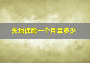 失地保险一个月拿多少