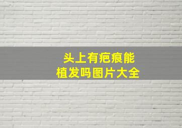 头上有疤痕能植发吗图片大全