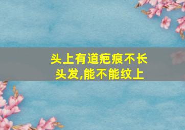 头上有道疤痕不长头发,能不能纹上