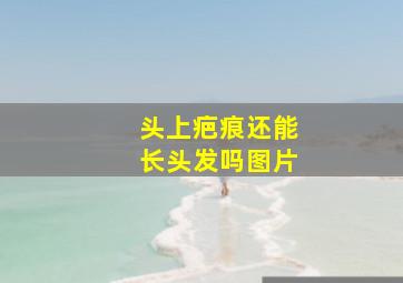 头上疤痕还能长头发吗图片