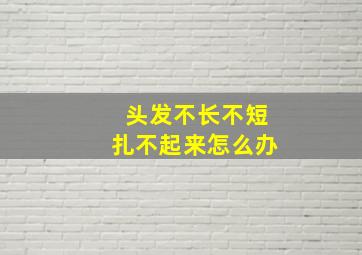 头发不长不短扎不起来怎么办